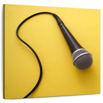 Abarca Wired Microphones