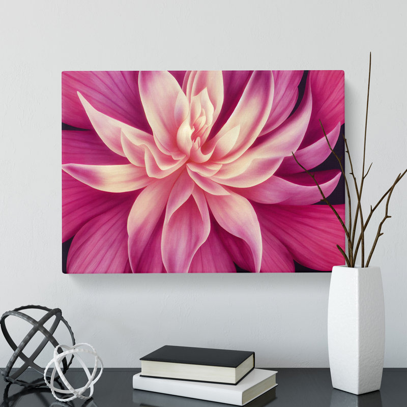 Seductive Carnation Flower - Wrapped Canvas, 50cm H x 76cm W x 3cm D