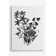 'Botanical Black and White II' Graphic Art Print on Wrapped Canvas