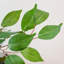 Faux Ficus Tree in Planter-48936679