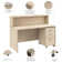 Arrive 60W x 30D Manufactured Wood Reception Desk with Filing Cabinet