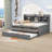 Tammeria Full / Double Daybed with Trundle-647689699