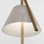 Cambo 1 Pendant