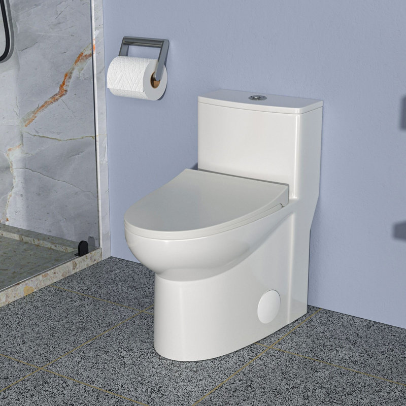 Toilette une pièce Rainlex RX-T31W