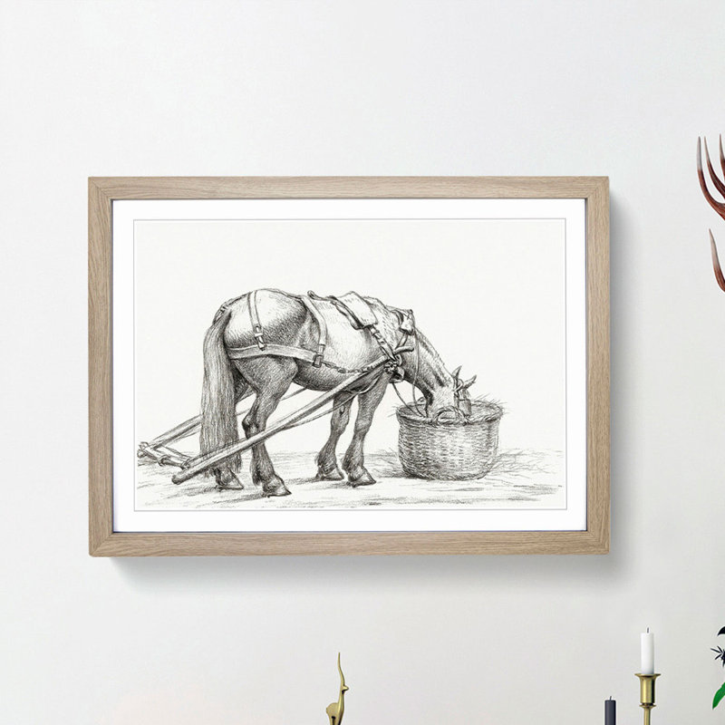 Horse Drinking by Jean Bernard - Picture Frame Drawing Print, Oak Framed, 48cm H x 65cm W x 2cm D