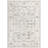 Hilley Oriental Indoor Rug-482953076