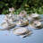 Salad/Dessert Plate, 8.4'', Stoneware-1413237797