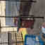 Photos des clients 2 de 3