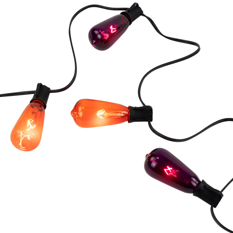 Ensemble de 10 lumières mauves et orange Edison E17 10 pi en fil noir 9 pi