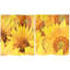 6 Ft. Tall Double Sided Sunflowers Canvas Room Divider