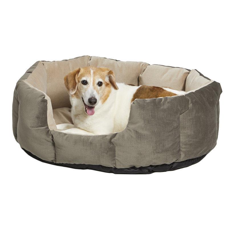 Traversin pour animaux de compagnie Quiet Time, gris, L 25,75 po x P 20 po x H 10 po