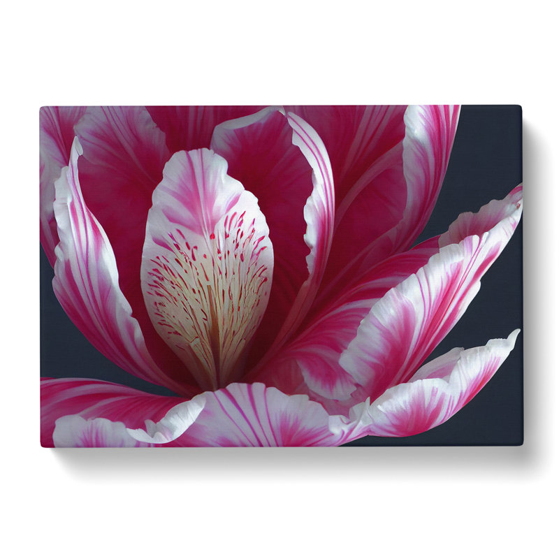Enlightening Flower - Wrapped Canvas, 35cm H x 50cm W x 3cm D
