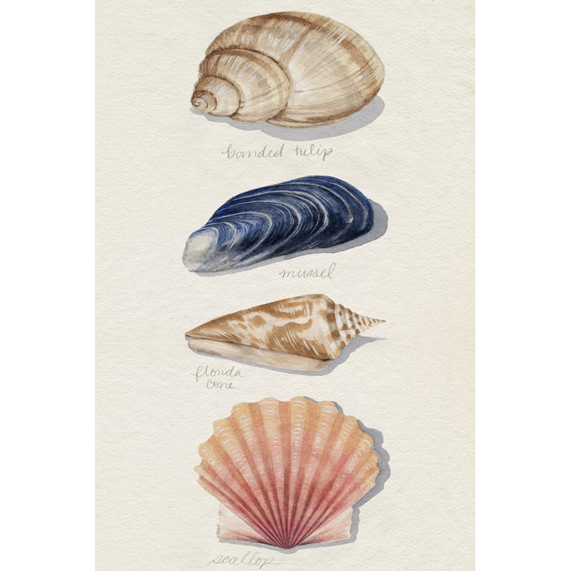 Shore Things II by Grace Popp - Painting on Canvas, 30 cm H x 20 cm W, Black Floater Framed