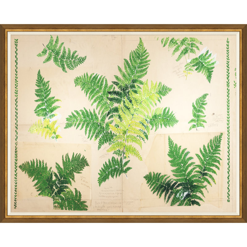 Fern (Var. 1) par Paule Marrot - reproduction d'un seul cadre