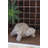  Faux Concrete Resin 9"H Turtle Figurine – Outdoor Garden Decor Accent – Yard Art