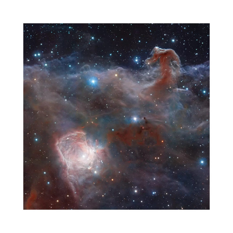 Horsehead Nebula Region In Infrared Light by Robert Gendler - Wrapped Canvas Painting, 30.48 cm H x 30.48 cm W