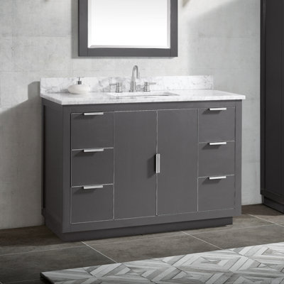 Salise 49'' Single Bathroom Vanity with Top