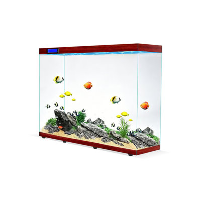 120-130 Gallon Acrylic Modern Eco Aquarium Tank