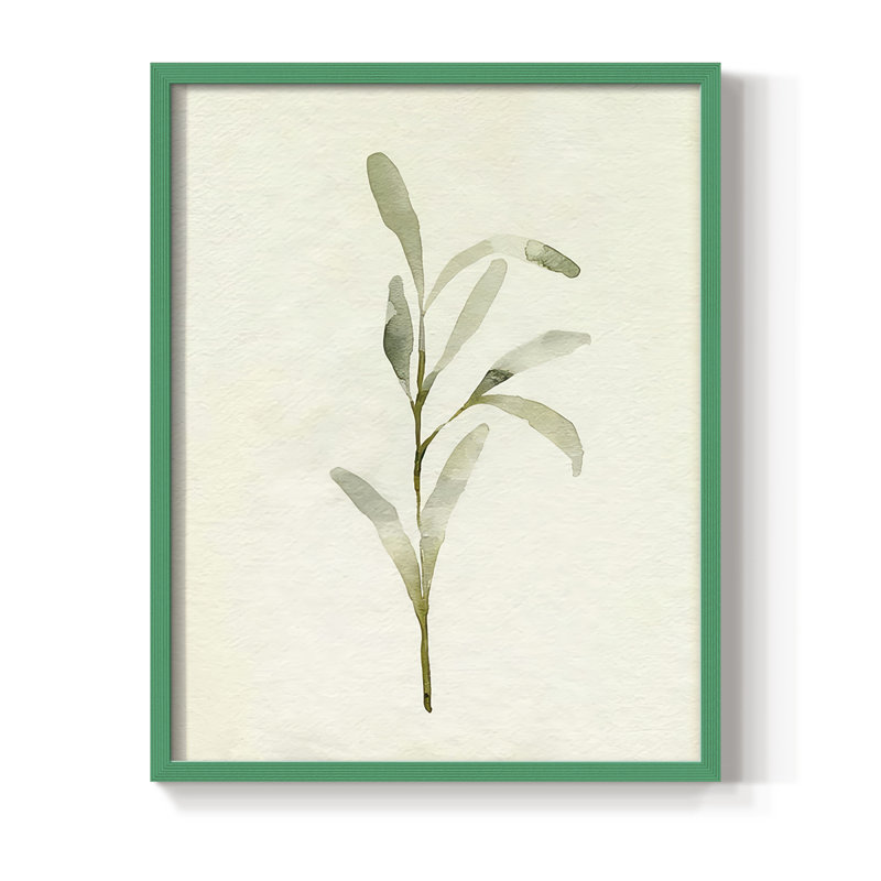 Olive Olive I, reproduction encadrée - bois massif, H 21 po x l 17 po, Vert