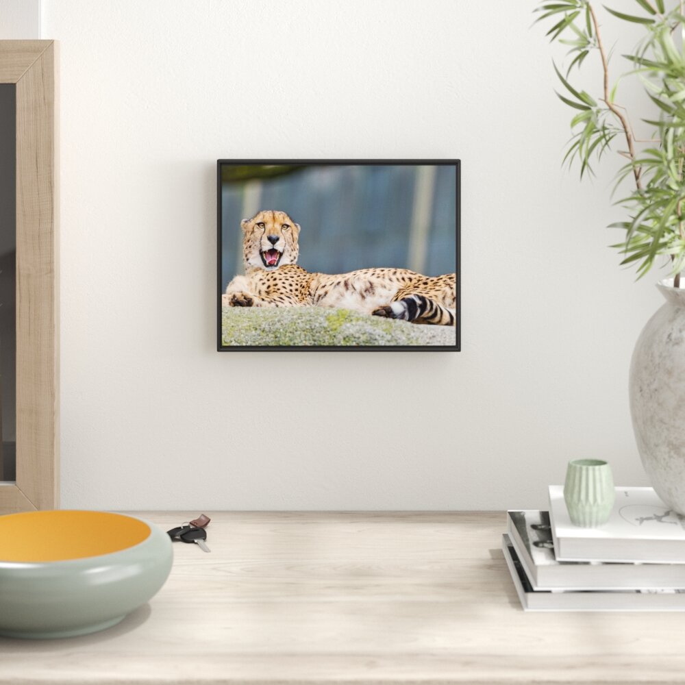 Gerahmtes Wandbild schlafender Gepard