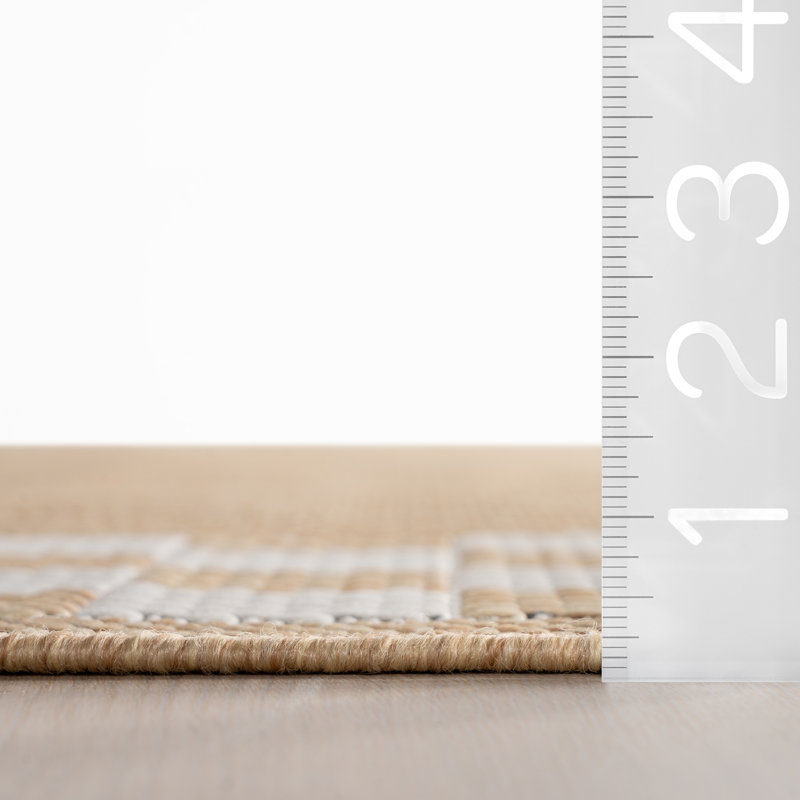  Larelle Indoor/Outdoor Checkered Area Rug, Rectangle 4' x 6', Ivory