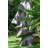 Haussman Fiberglass Garden Statue