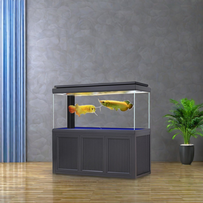 Aquarium noir rectangulaire minimaliste Eco, 165 gallons (H 66,1 po x l 70,8 po x P 19,6 po)