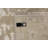 Oriental Indoor Rug
