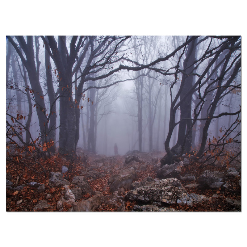 Dark Foggy Forest Autumn Landscape Canvas Print, 20" x 12"