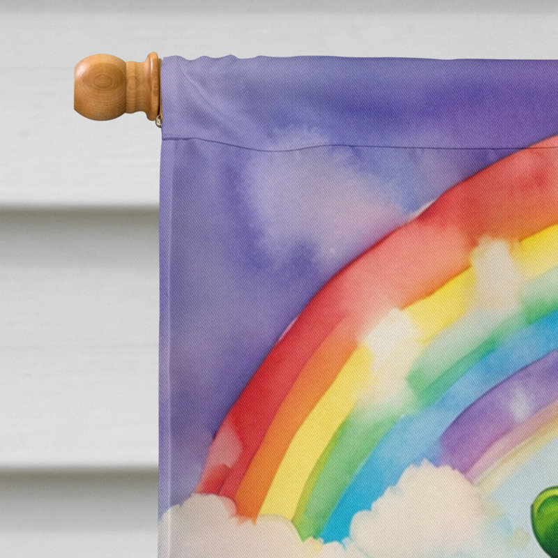 Drapeau double face en polyester H 40 po x l 28 po St Patrick's Day House