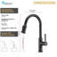 OAKLAND Pull Down Kitchen Faucet-70555316