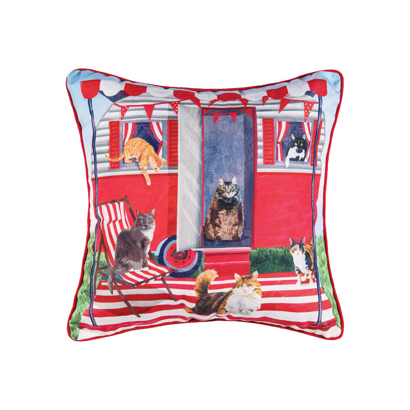 Coussin Cat