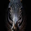 Zebra Stare By Getty Images-1001504856