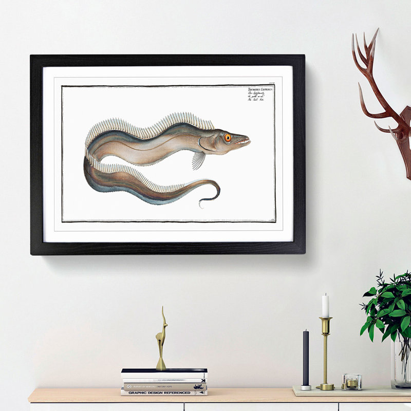 Sword-Fish by M.E. Bloch - Picture Frame Art Print, 27cm H x 36cm W x 2cm D, Black Framed