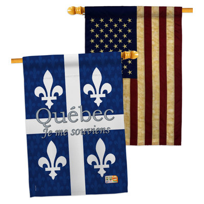 Double Sided 40'' H x 28'' W Polyester House Flag