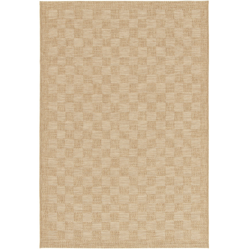 Acotas Chequered Indoor / Outdoor Area Rug, Rectangle 200 x 290cm