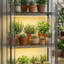 Support à plantes portatif en métal à 5 niveaux pour serre avec lumière de croissance et housse en PVC, idéal pour l'intérieur et l'extérieur-122443576