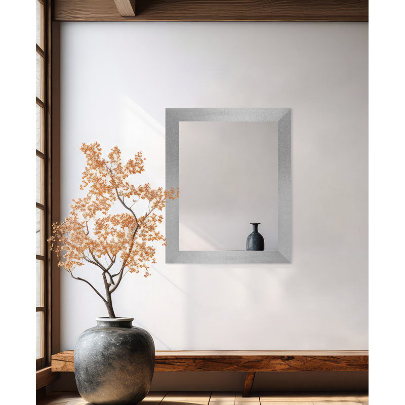 Miroir mural Maci Eileen, 33 po x 46 po, Argent platine