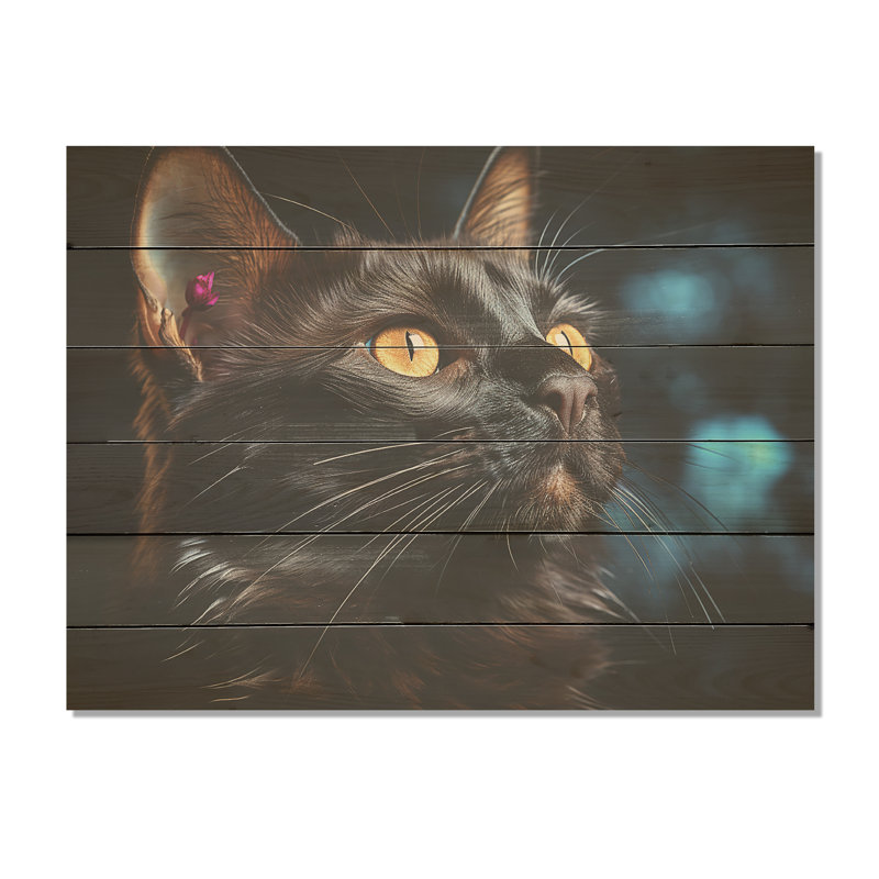 Beauté birmane, chat noir - Art mural en bois sur bois de pin naturel, H 24 po x l 32 po