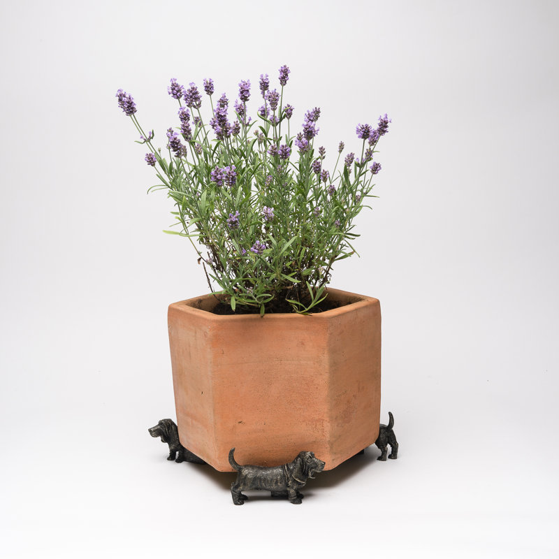 Mairead Weather Resistant Planter Feet