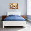Animals Tiger Resting In Cozy Bedroom Scene-1537664203-1537664182-1537664180