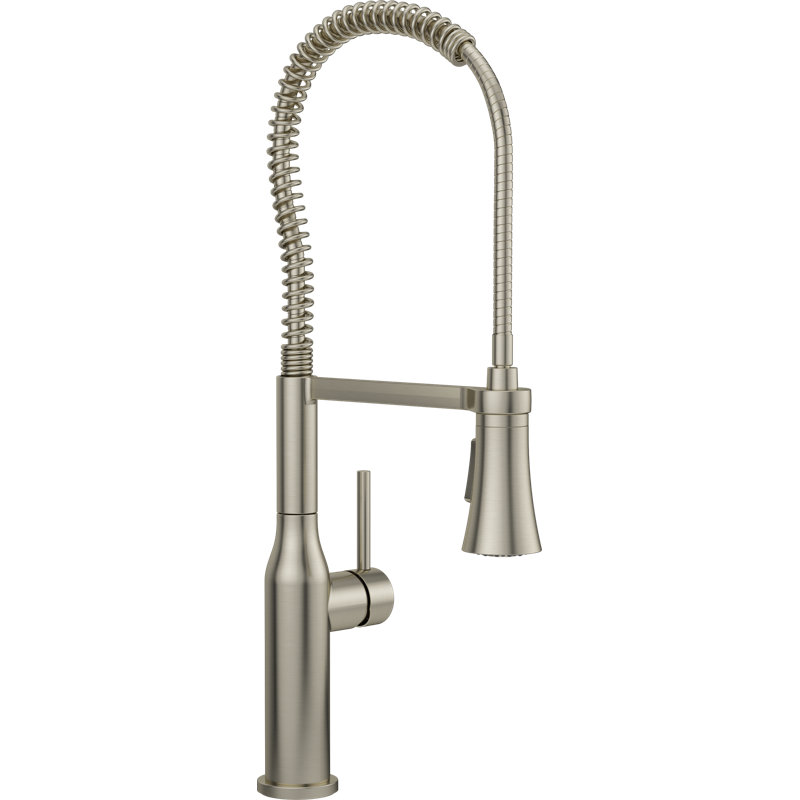 Proflo Kitchen Faucet, Matte Black