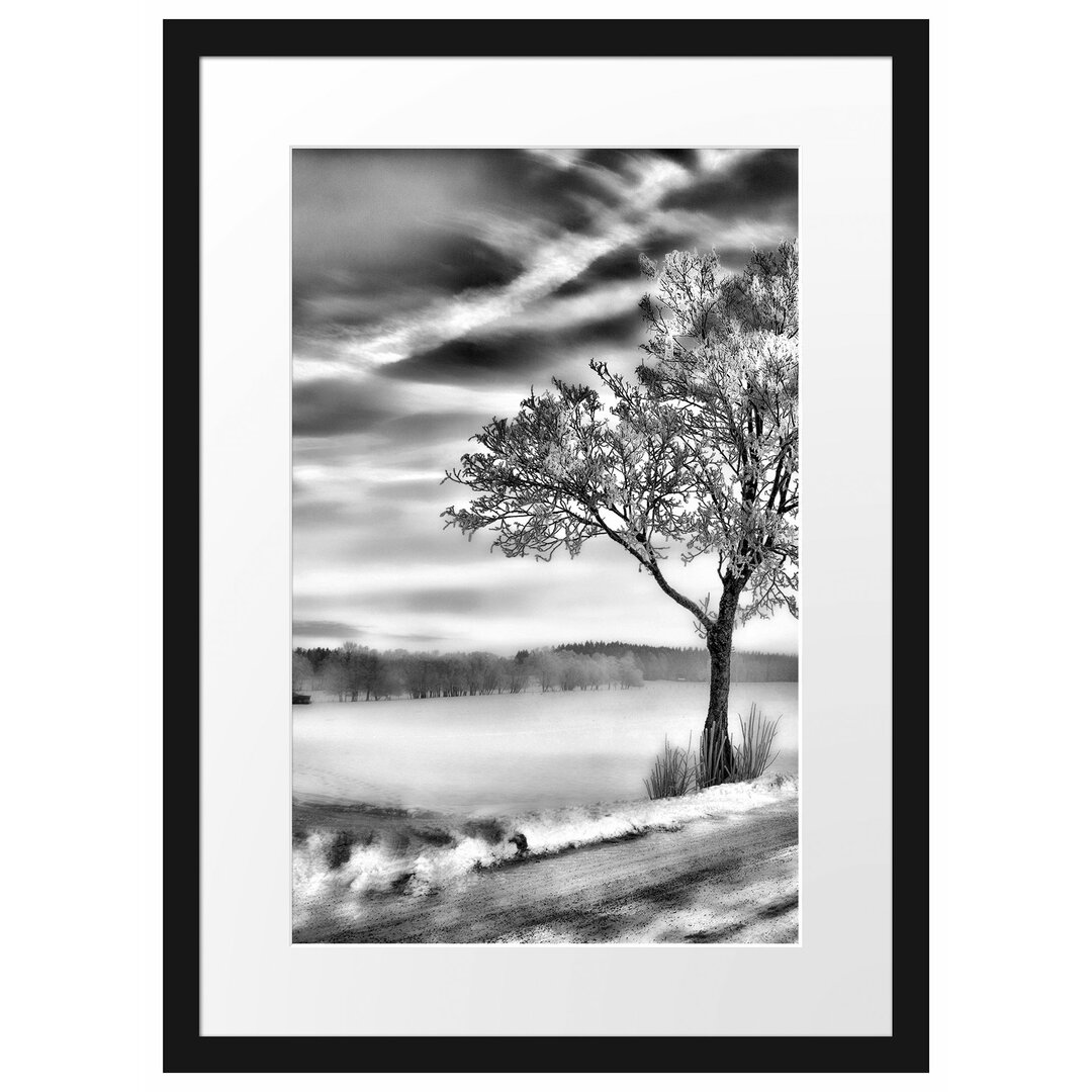 Gerahmtes Poster Baum im Schnee