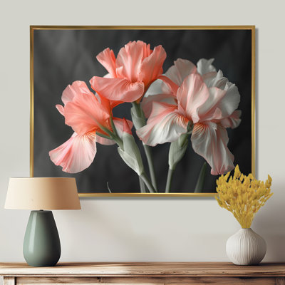 Pink Black Garden Glamour Irises - Irises Wall Art