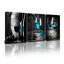 3 Piece Wrapped Canvas Wall Art