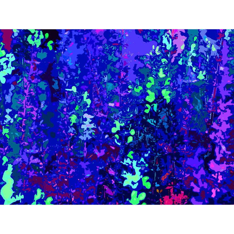 Fleurs par Drew Gaffney - Peinture, H 25,25 po x l 31,25 po, Papier avec cadre noir