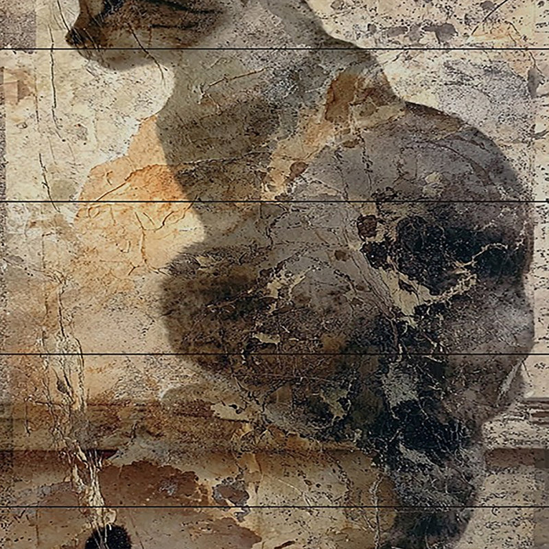 Sandell