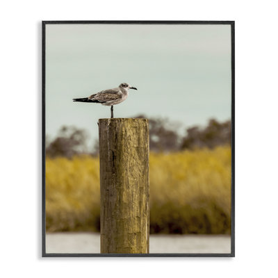 «Gull On Pile», dessin de Christy Berry