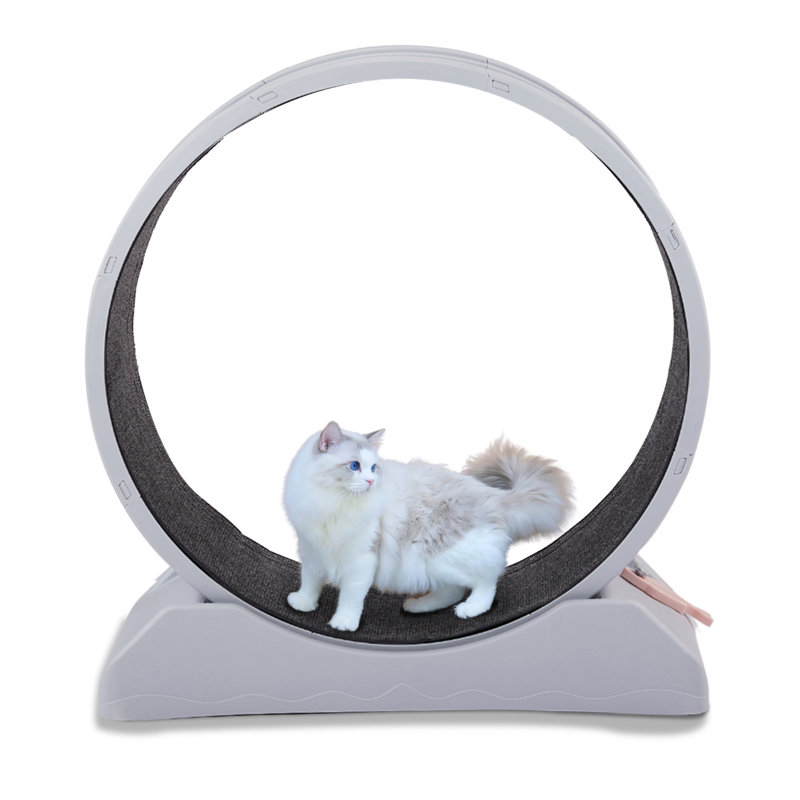 31 Inch Cat Treadmill Exercise Running Wheel