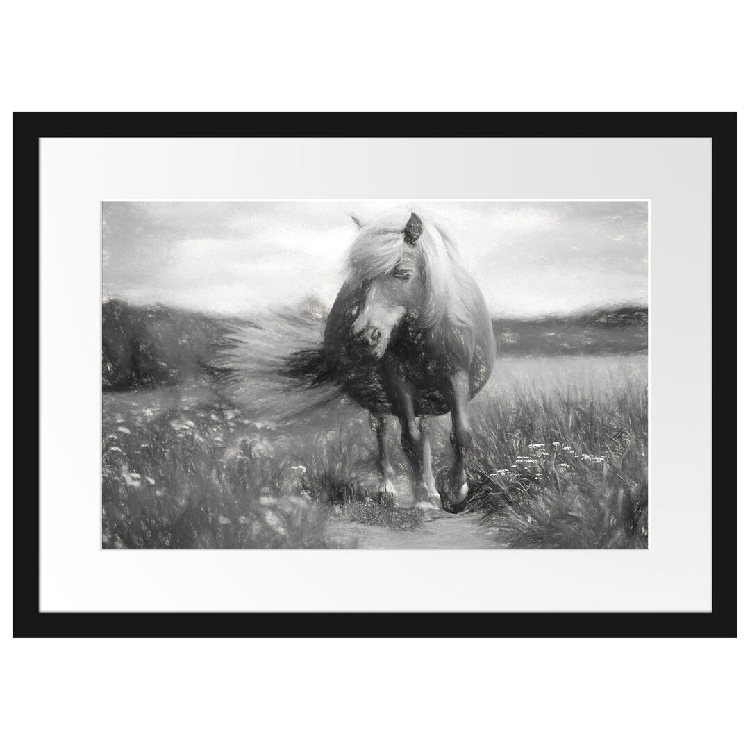 Gerahmtes Papierbild Shetlandpony auf der Wiese